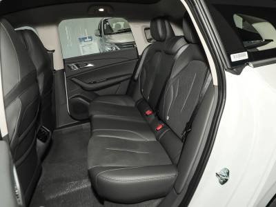 Dongfeng Forthing Xinghai S7 details (2)