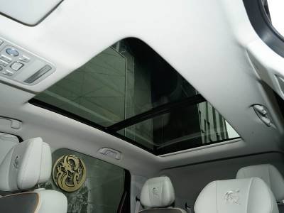 Dongfeng Forthing U–TOUR Details (5)