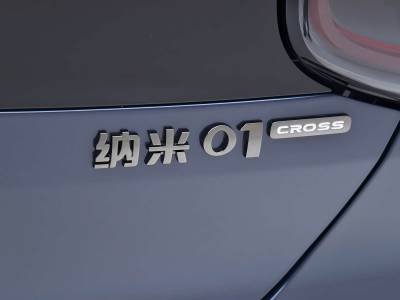 Dongfeng Nammi 01 details (1)
