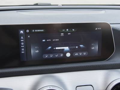 Dongfeng Forthing T5 EVO Details (10)