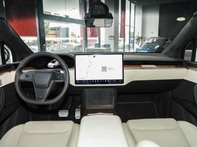 Tesla Model X Details (12)