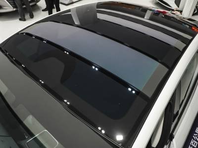 Dongfeng Forthing Xinghai S7 details (3)